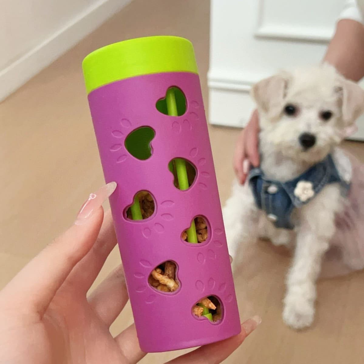 Jouet à mâcher puzzle pour chat et chien, distributeur de friandises ajouré
